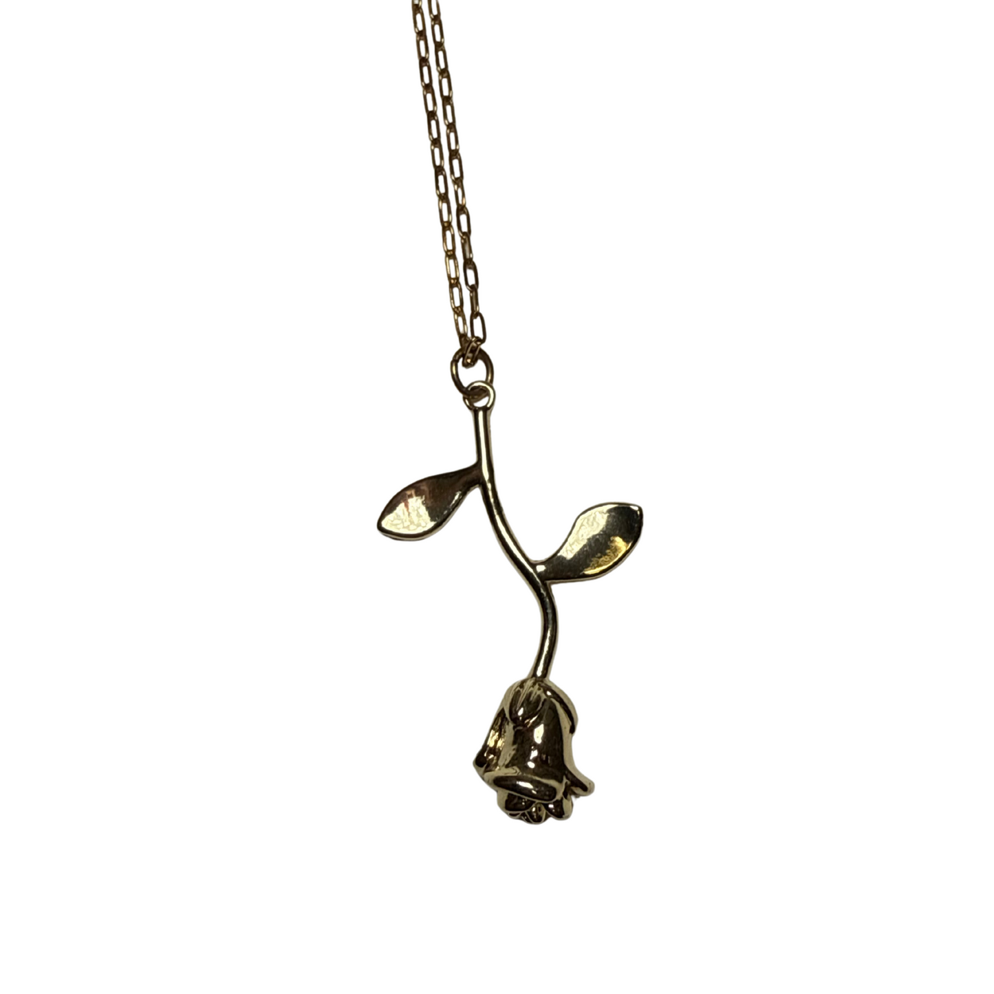 Collar Rosa Stainless Steel