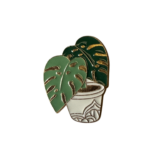 Pins Monstera